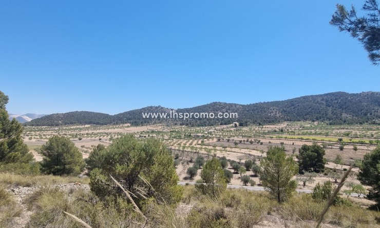 Parcela / Terreno - Reventa - Abanilla -
                La Zarza