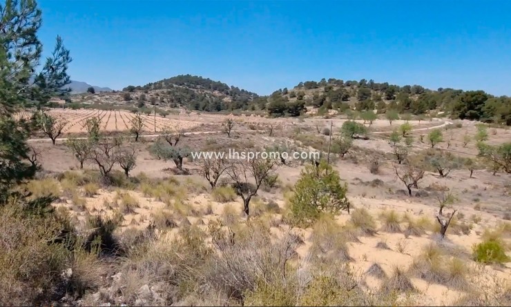 Parcelle / Terrain - Revente - Abanilla -
                La Zarza