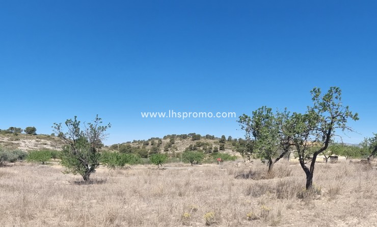 Plot / Land - Resale - Abanilla -
                La Zarza